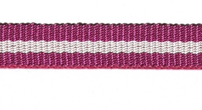 Тесьма Svetlana Neon 1801-53