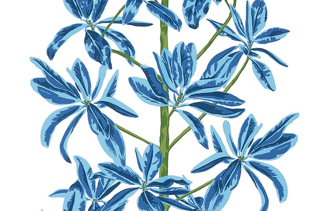 Американские обои Thibaut, коллекция Wanderlust, артикул T45032