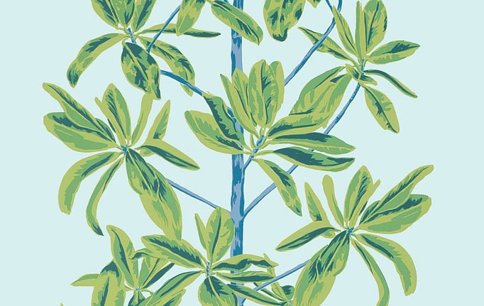 Американские обои Thibaut, коллекция Wanderlust, артикул T45033