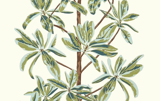 Американские обои Thibaut, коллекция Wanderlust, артикул T45034