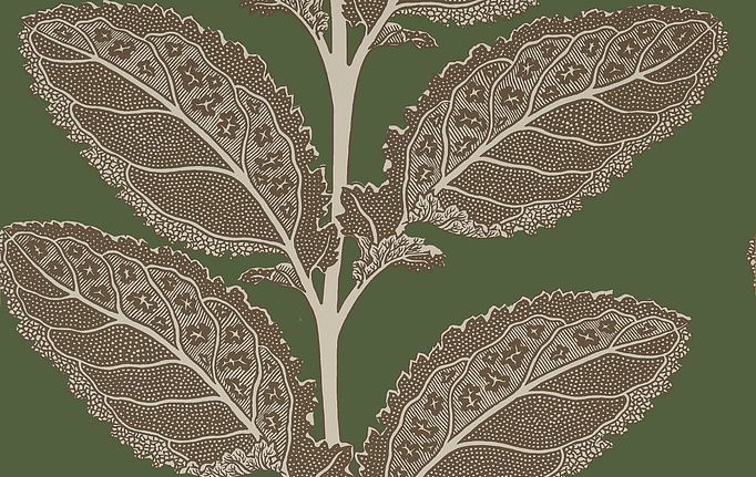 Американские обои Thibaut, коллекция Vista, артикул T12040
