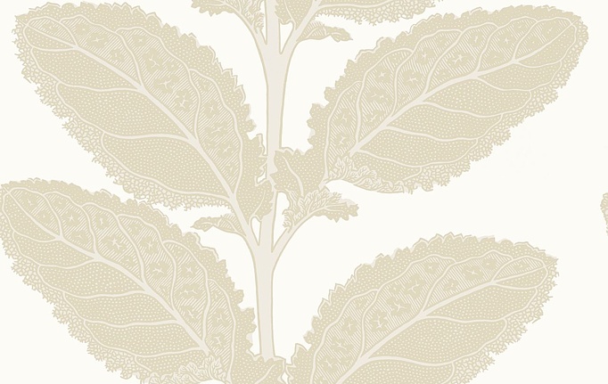 Американские обои Thibaut, коллекция Vista, артикул T12041