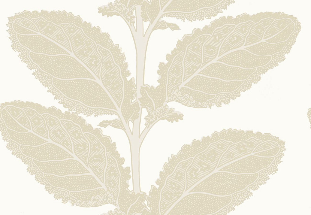 Обои Thibaut Vista T12041