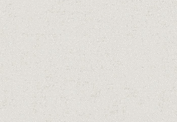 Обои Faboie Pioneer BA-PES0301