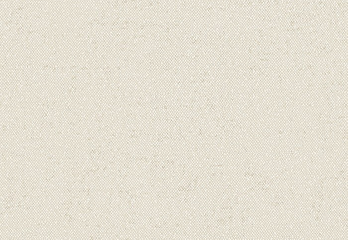 Обои Faboie Pioneer BA-PES0302