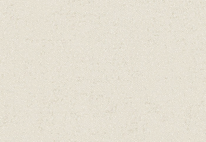 Обои Faboie Pioneer BA-PES0302
