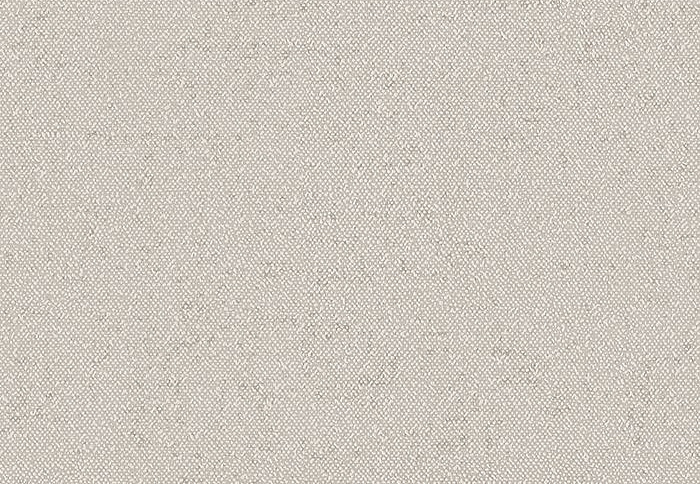Обои Faboie Pioneer BA-PES0305