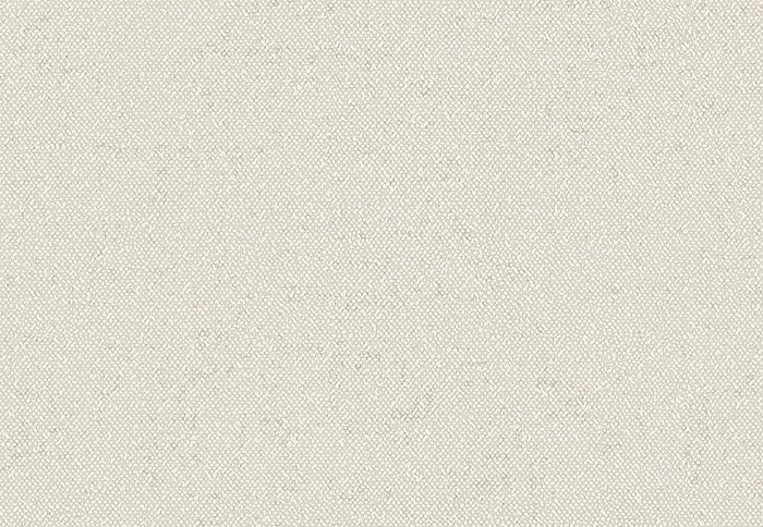 Обои Faboie Pioneer BA-PES1104