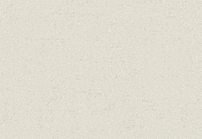 Обои Faboie Pioneer BA-PES1104