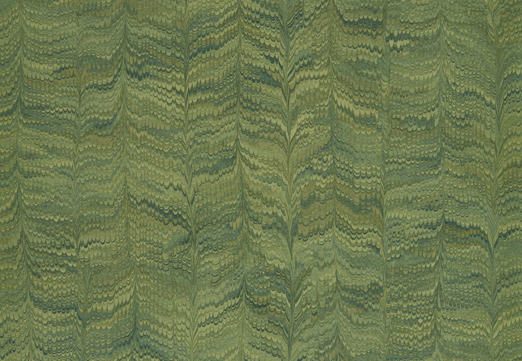 Обои Zoffany Endpapers 313084