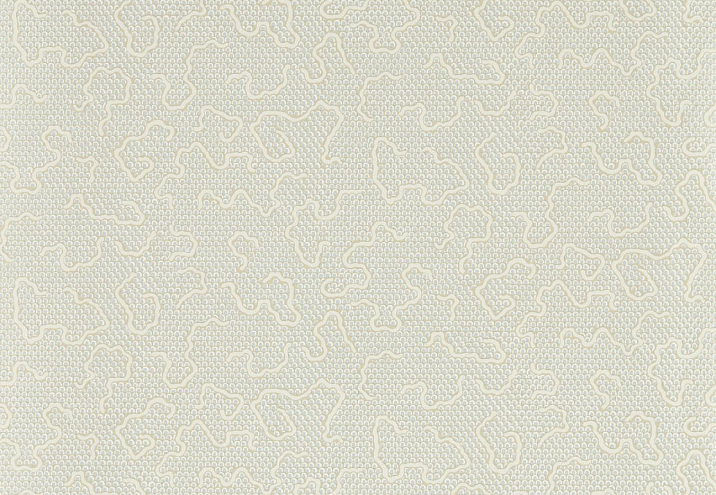 Обои Zoffany Endpapers 313098