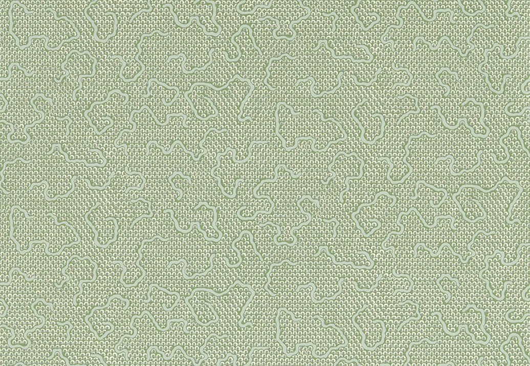 Обои Zoffany Endpapers 313100