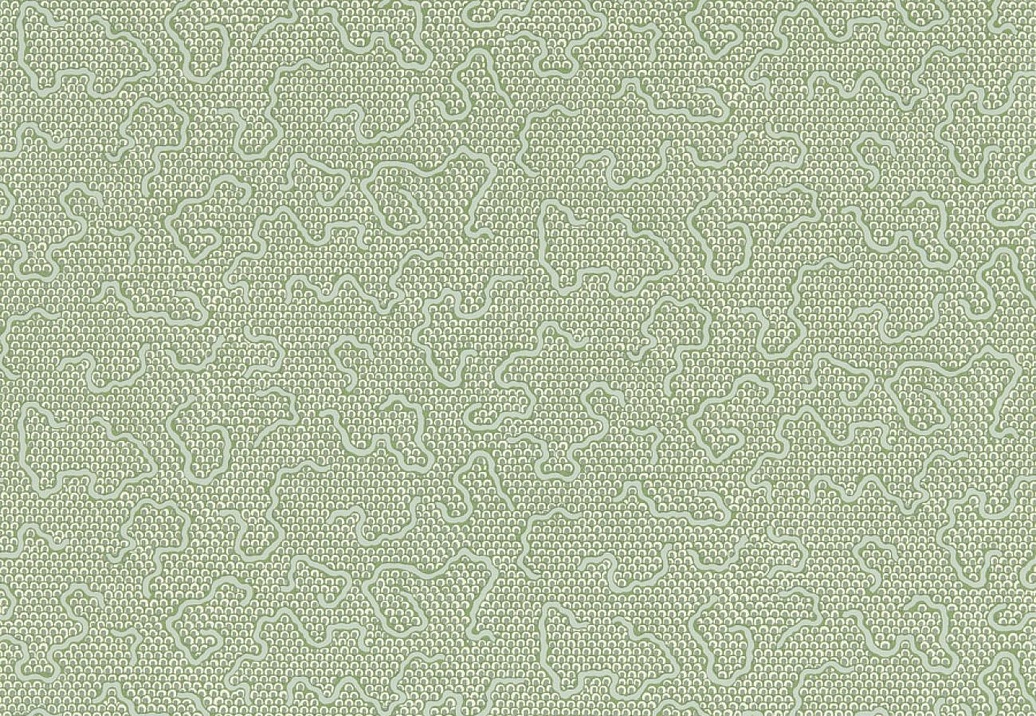Обои Zoffany Endpapers 313100