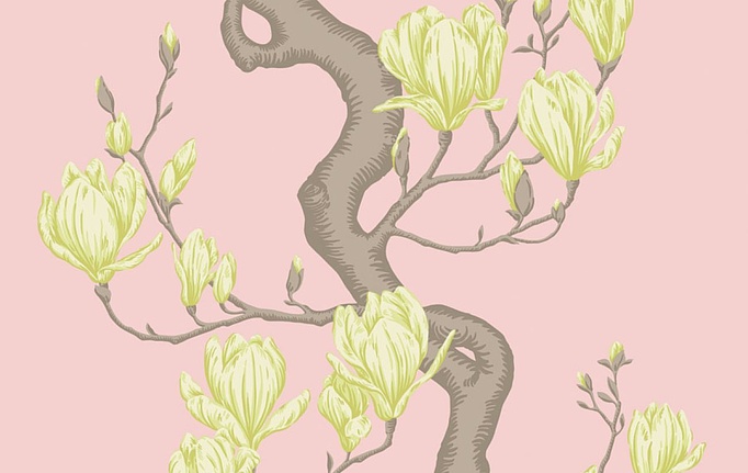 Английские обои Cole & Son, коллекция Classics Collection Vol. II, артикул 128/1005