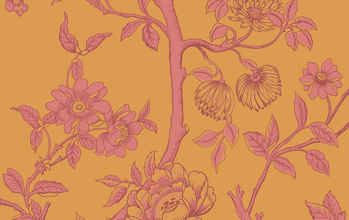 Английские обои Cole & Son, коллекция Classics Collection Vol. II, артикул 128/2011