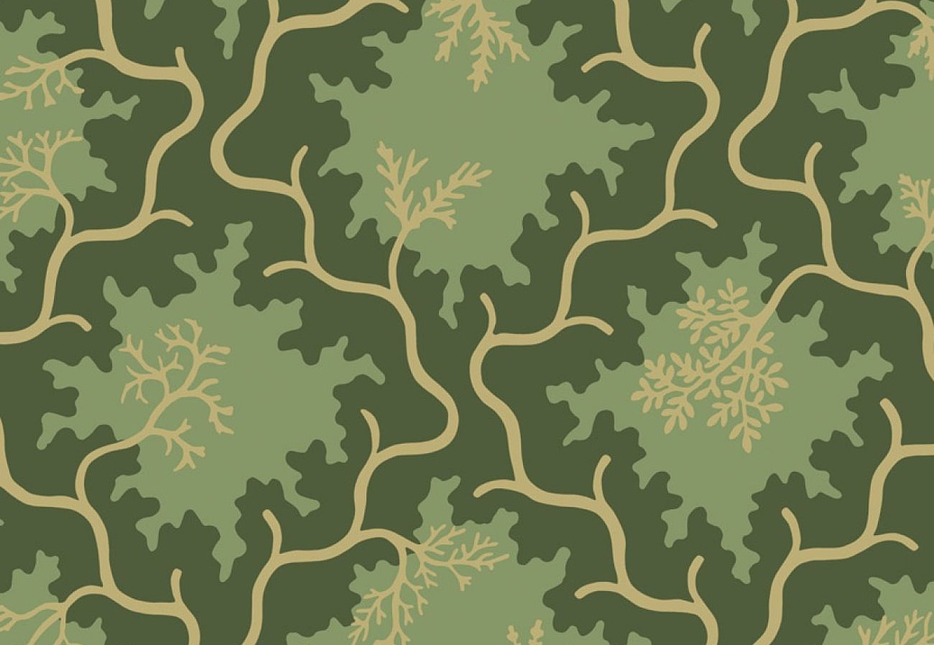 Обои Cole & Son Classics Collection Vol. II 128/4021