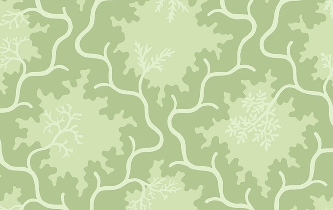 Английские обои Cole & Son, коллекция Classics Collection Vol. II, артикул 128/4022