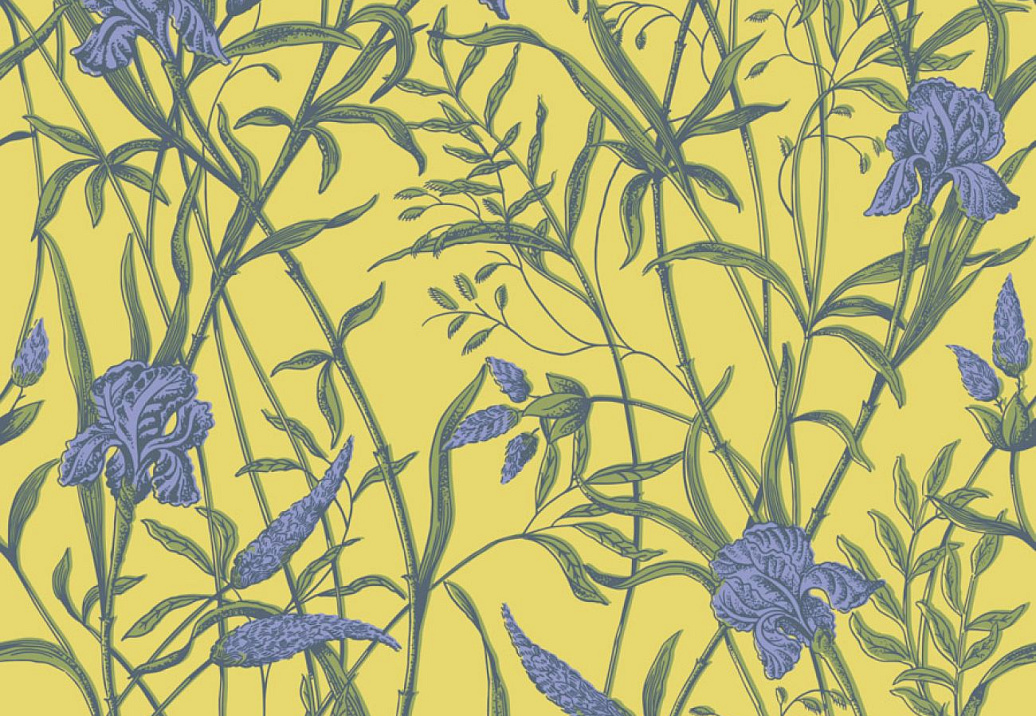 Обои Cole & Son Classics Collection Vol. II 128/5027