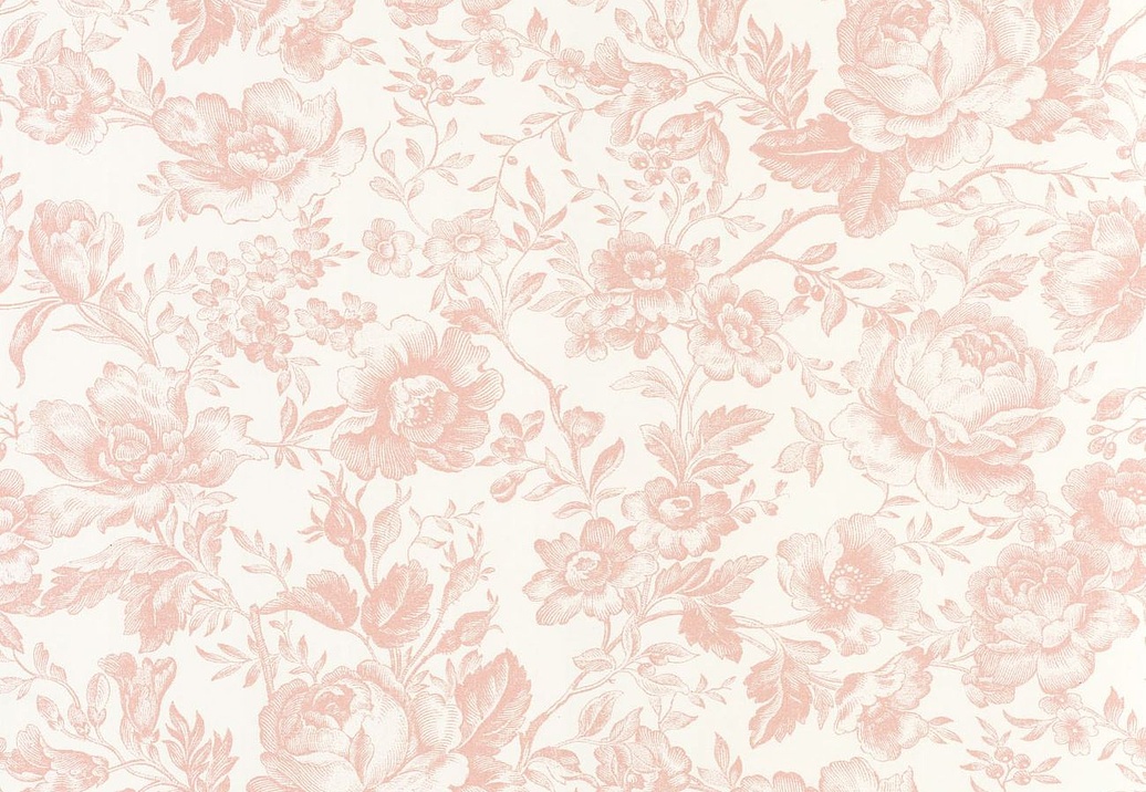 Обои Casadeco Les Belles Toiles de Jouy 2 BTJD201724101