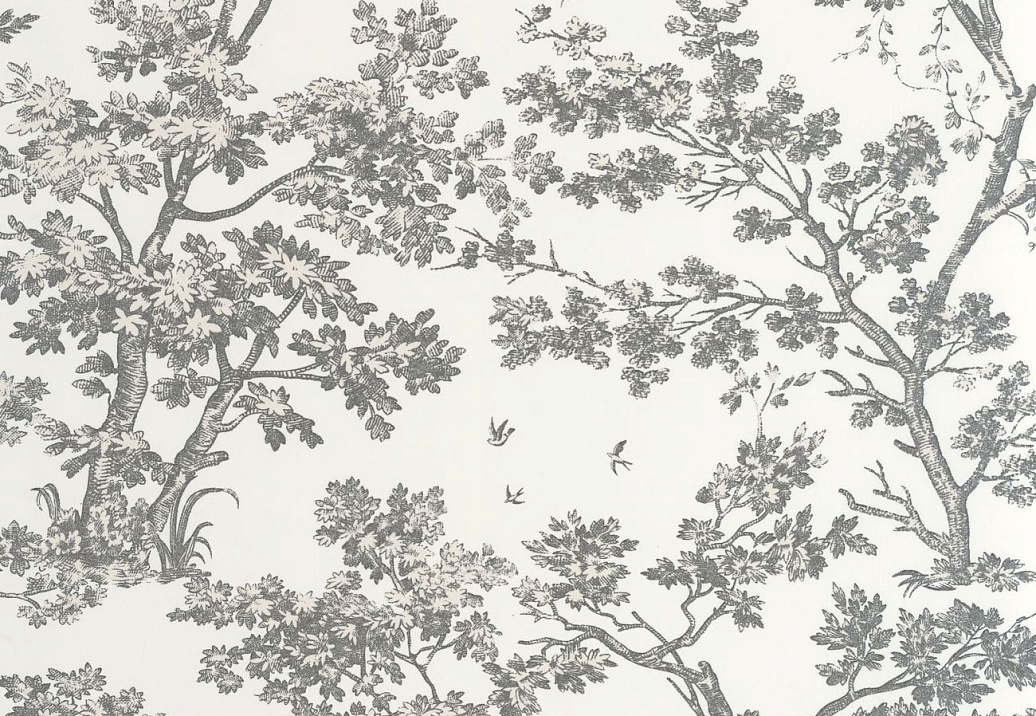 Обои Casadeco Les Belles Toiles de Jouy 2 BTJD81529889