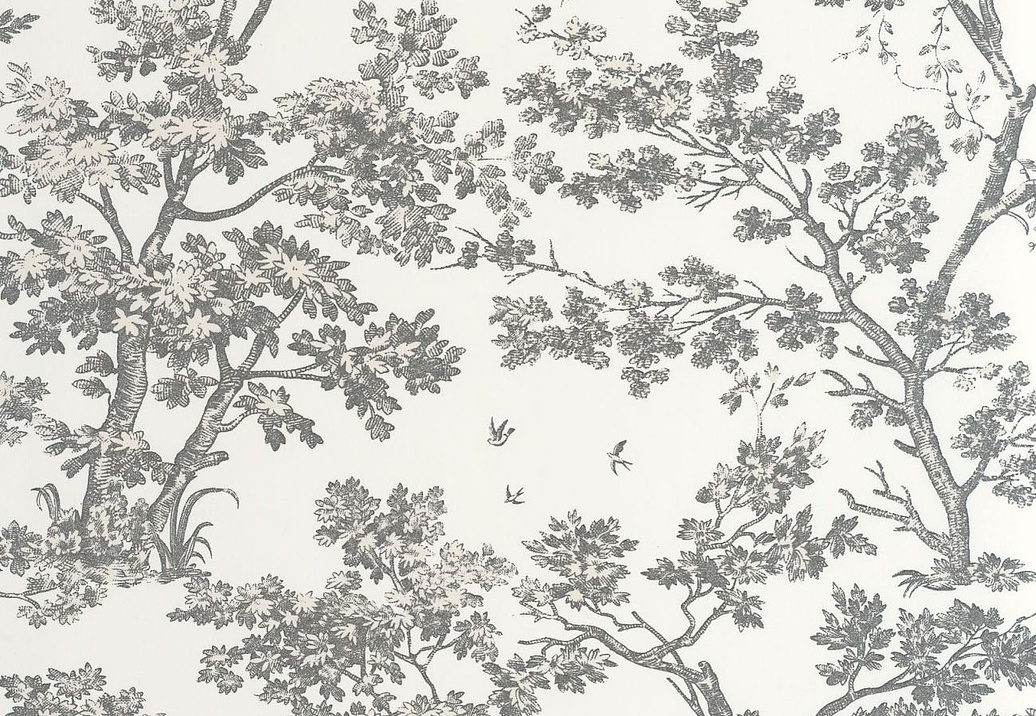 Обои Casadeco Les Belles Toiles de Jouy 2 BTJD81529889
