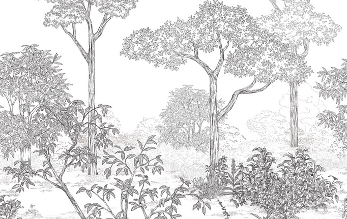 Французские панно и фотообои Caselio, коллекция Art of Botany, артикул AOB106690903