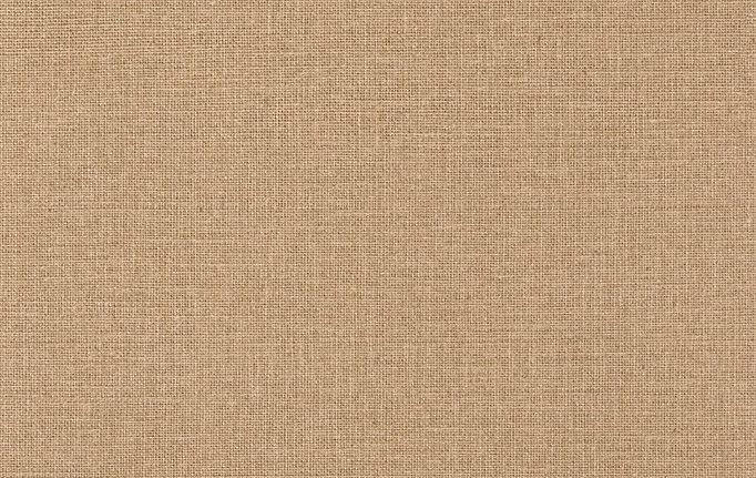 Французские обои Caselio, коллекция Jute Essentiel, артикул JUT104011389
