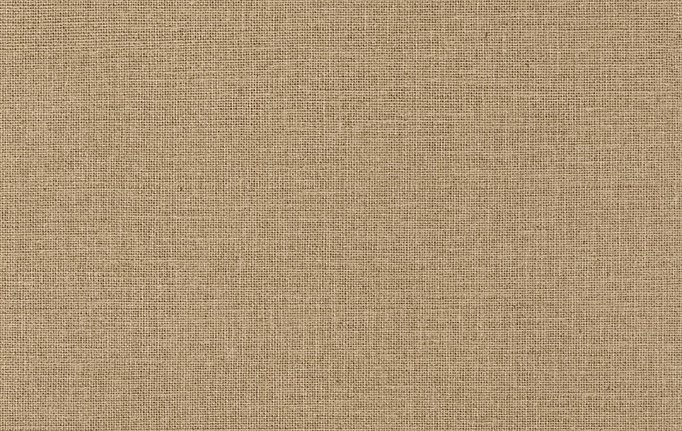 Французские обои Caselio, коллекция Jute Essentiel, артикул JUT104011610