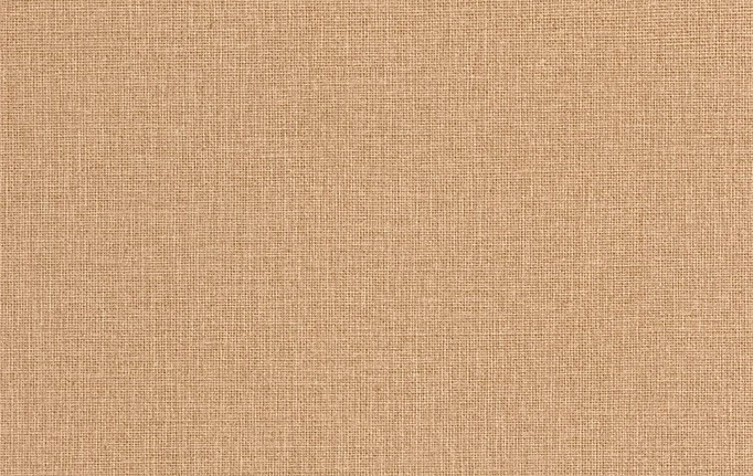 Французские обои Caselio, коллекция Jute Essentiel, артикул JUT104011850