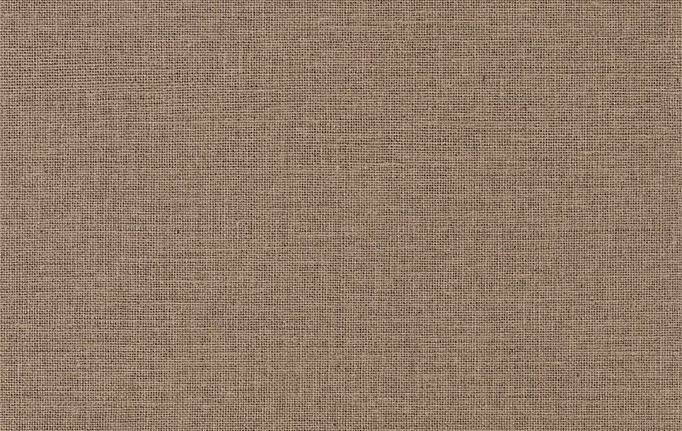 Французские обои Caselio, коллекция Jute Essentiel, артикул JUT104012008