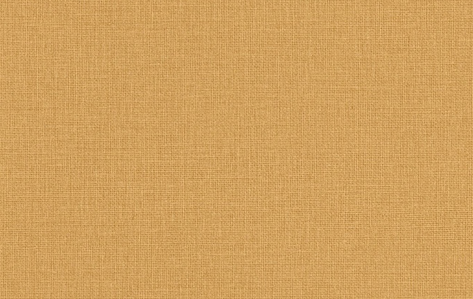 Французские обои Caselio, коллекция Jute Essentiel, артикул JUT104012812