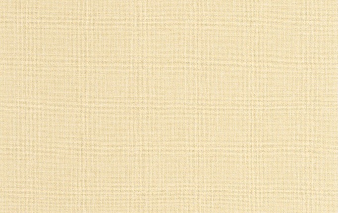 Французские обои Caselio, коллекция Jute Essentiel, артикул JUT104012856