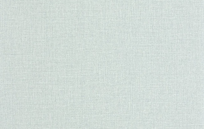 Французские обои Caselio, коллекция Jute Essentiel, артикул JUT104016009