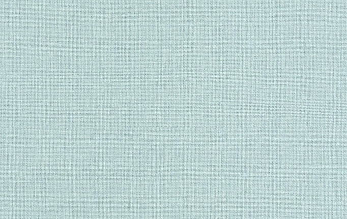Французские обои Caselio, коллекция Jute Essentiel, артикул JUT104016118