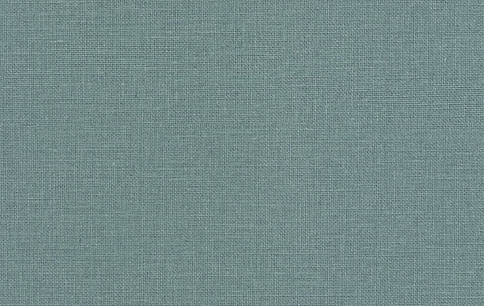 Французские обои Caselio, коллекция Jute Essentiel, артикул JUT104016330