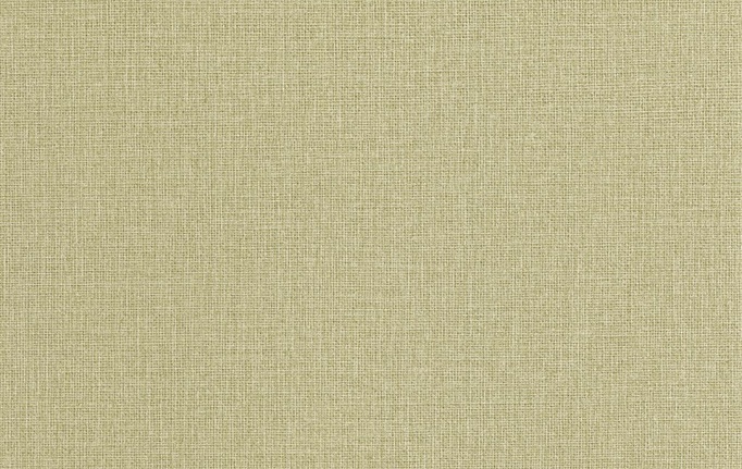 Французские обои Caselio, коллекция Jute Essentiel, артикул JUT104017244