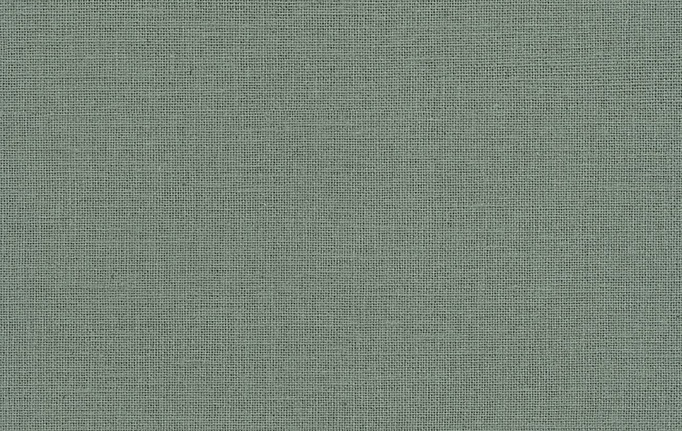 Французские обои Caselio, коллекция Jute Essentiel, артикул JUT104017789