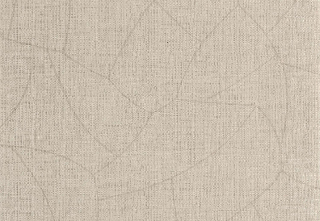 Обои Caselio Symphony SYM107021127