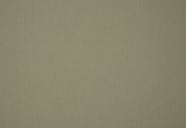 Ткань Дом Caro Solids/3983