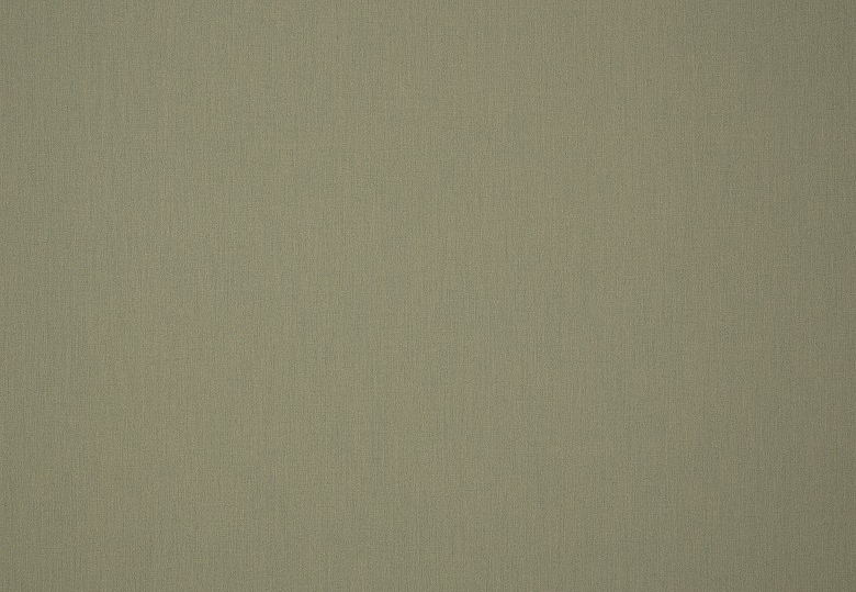 Ткань Дом Caro Solids/3983