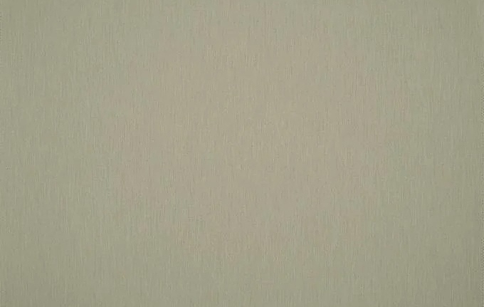 Ткань Дом Caro Solids/P055