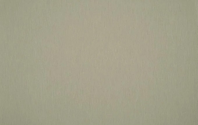 Ткань Дом Caro Solids/P055