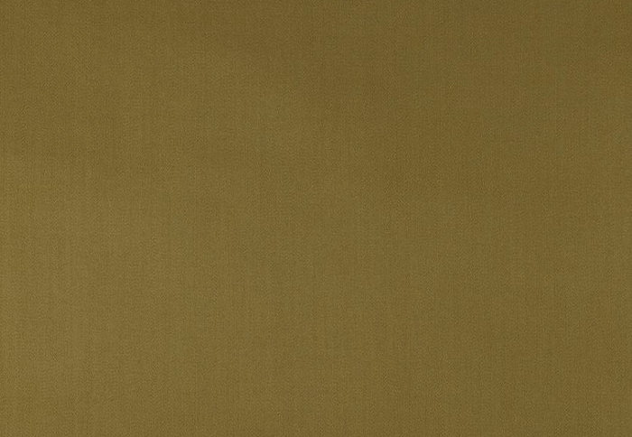 Ткань The Isle Mill Liso LIS171