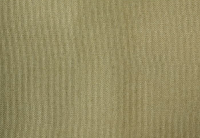 Ткань William Morris At Home Flora & Foliage Volume I Reed/Apple