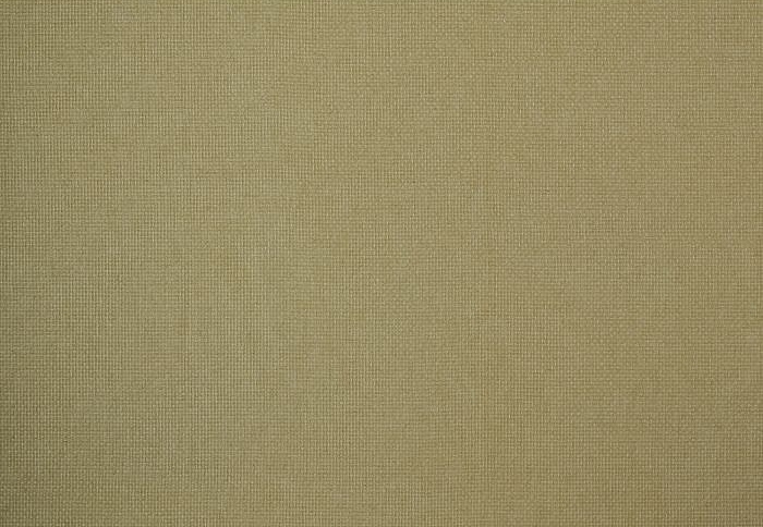 Ткань William Morris At Home Flora & Foliage Volume I Reed/Barley