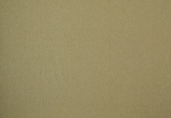 Ткань William Morris At Home Flora & Foliage Volume I Reed/Barley