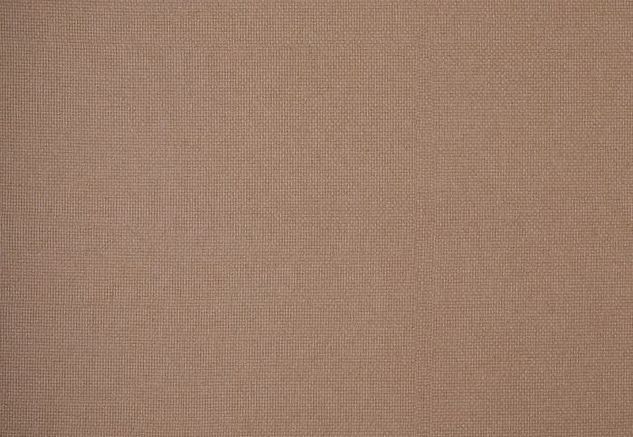 Ткань William Morris At Home Flora & Foliage Volume I Reed/Rhubarb