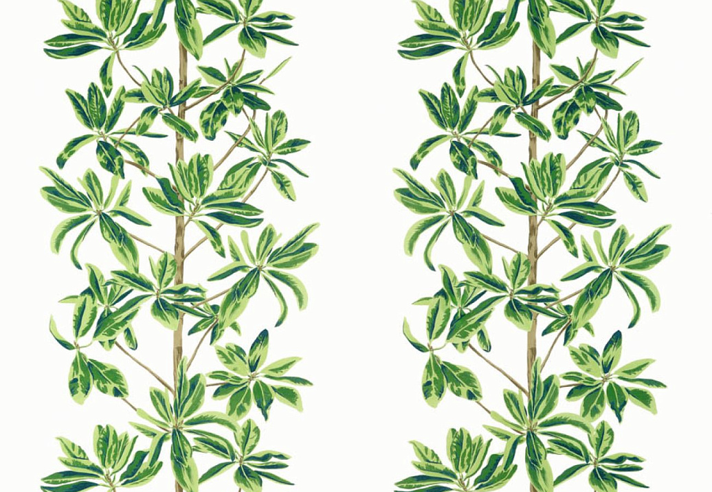 Ткань Thibaut Wanderlust F945035