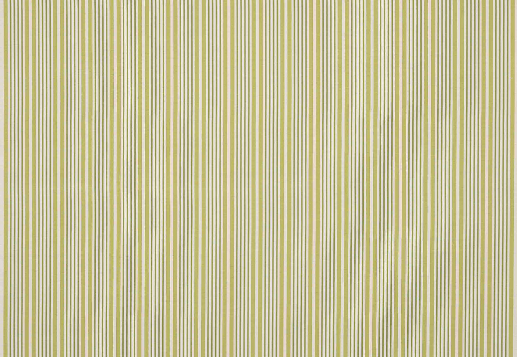 Ткань Manuel Canovas Domino M4166/01