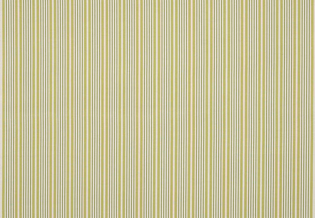 Ткань Manuel Canovas Domino M4166/01